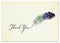BOXED THANK YOU CARDS WATERCOLOR QUILL