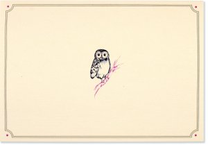 BOXED NOTECARDS OWL PORTRAIT