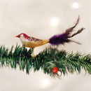 ORNAMENT MINI LOVEBIRD, CLIP