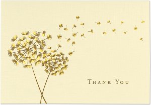 BOXED THANK YOU CARDS DANDELION WISHES