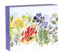 BOXED NOTECARDS QUICK WCOLOR MEADOW