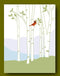 CARD BIRCH TREES W/ CARDINAL