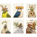 BOXED NOTECARDS SONGBIRD PORTRAITS