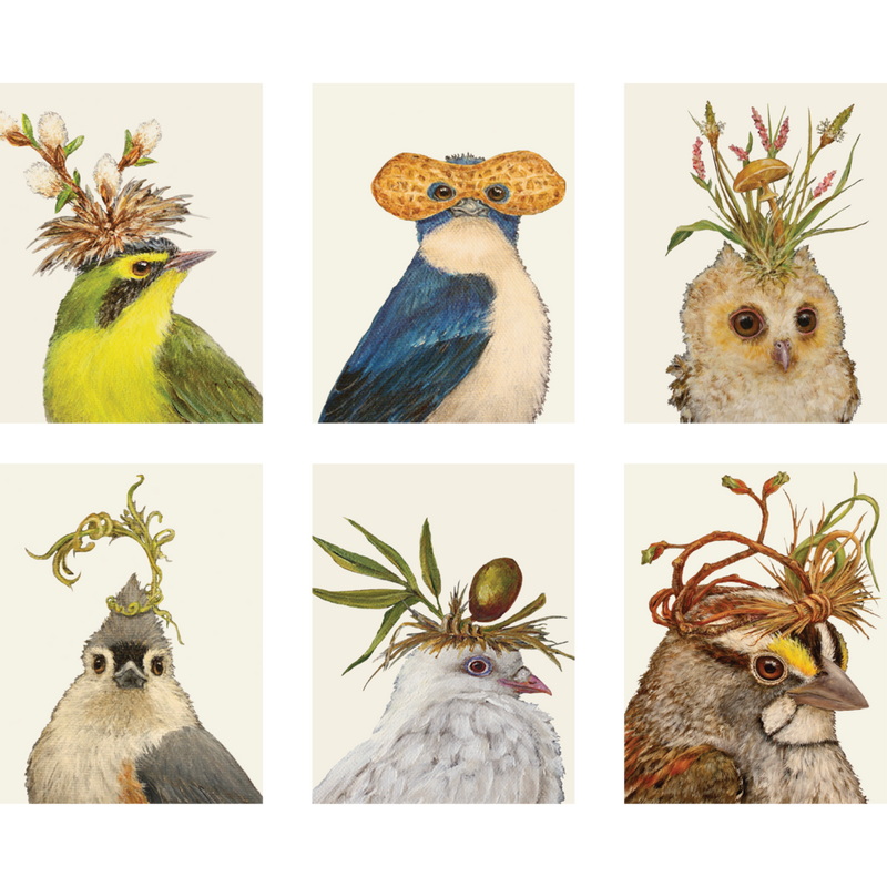 BOXED NOTECARDS SONGBIRD PORTRAITS
