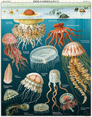 PUZZLE JELLY FISH, 1000PC