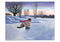 HOLIDAY BOXED NOTECARDS KLIBAN, CAT SKATING