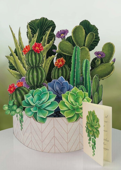 POP-UP PLANT: CACTUS GARDEN