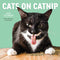 WALL CALENDAR: CATS ON CATNIP