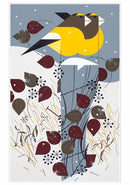 HOLIDAY BOXED NOTECARDS CHARLEY HARPER