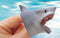 FINGER SHARK BABY