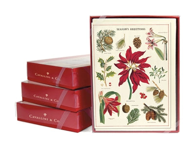 HOLIDAY BOXED NOTECARDS CHRISTMAS BOTANICALS