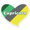 STICKER HEART CAPRICORN