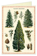 CARD CHRISTMAS TREES