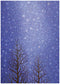 HOLIDAY BOXED NOTECARDS SNOWFALL