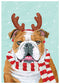 XCARD BULLDOG W/ ANTLERS