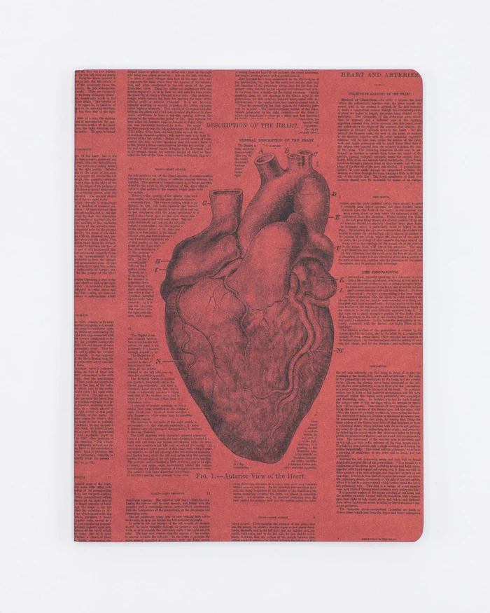 JOURNAL ANATOMICAL HEART, LINED SOFT COVER