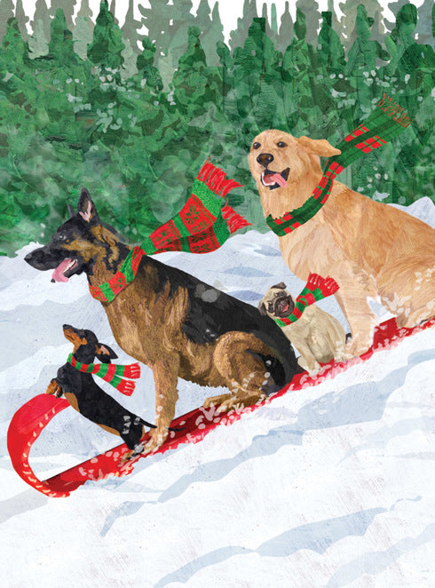 XCARD SLEDDING DOGS