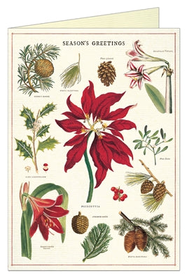 CARD CHRISTMAS BOTANICA