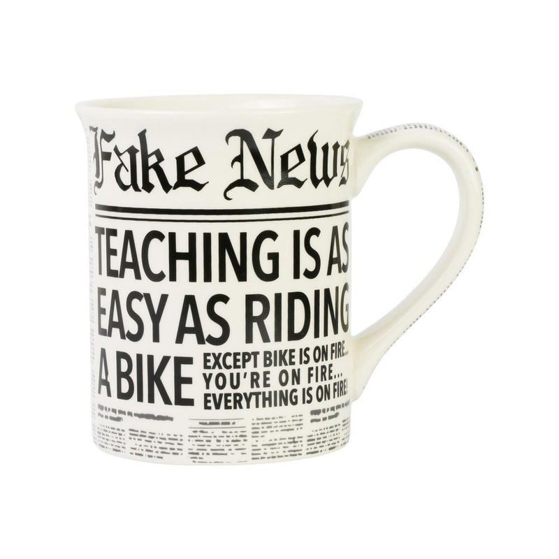 MUG FAKE NEWS TEACHING