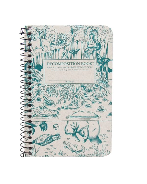 SMALL DECOMPOSITION NOTEBOOK (COIL & LINED): EVERGLADES