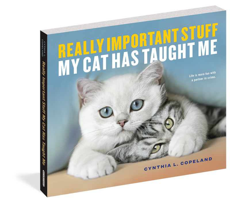 BOOK REALLY IMPORTANT STUFF MY CAT HAS TAUGHT ME