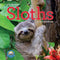 WALL CALENDAR: SLOTHS
