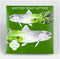 SEED PACKET SPOTTED TROUT LETTUCE