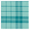 NAPKINS (SET OF 4) RECYCLED WATER GREEN